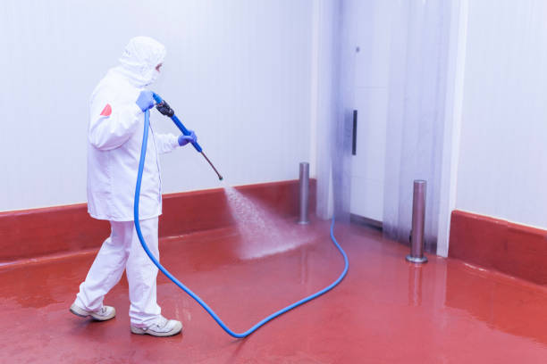 Best Dumpster Area Cleaning  in Paloma Creek, TX